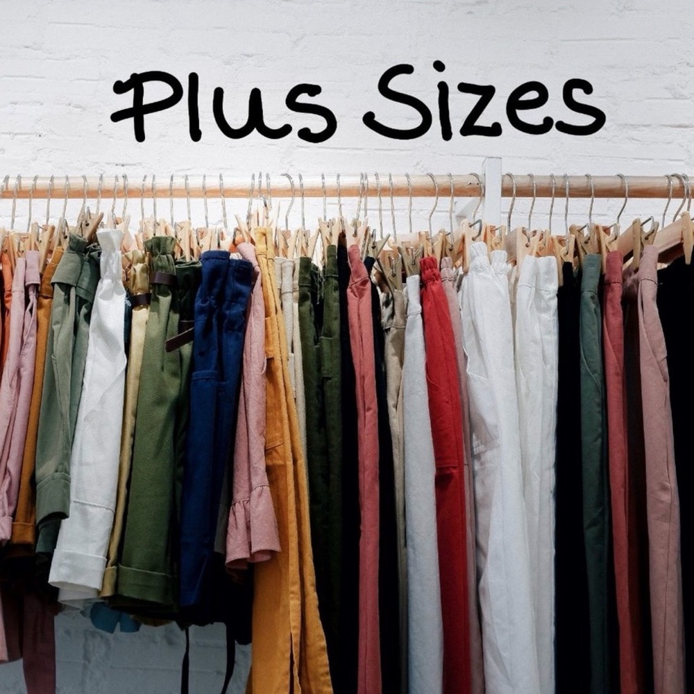 Assorted Plus Size Collection - image 1